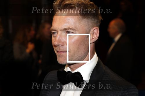 Amsterdam 28 oktober 2019
Premiere Galapagos in Tuschinski. Ronan Keating