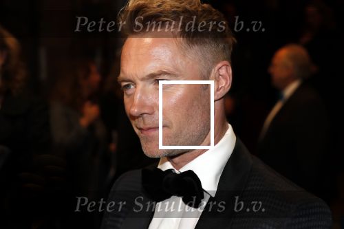 Amsterdam 28 oktober 2019
Premiere Galapagos in Tuschinski. Ronan Keating