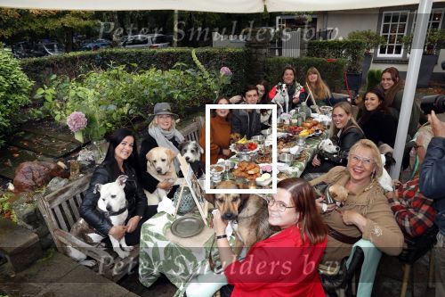 Blaricum 4 oktober 2019
Dierendag met een ontbijt voor de hondjes georganiseerd door Rossana Kluivert en Nino Wilkes. Anouk Smulders presenteert het.