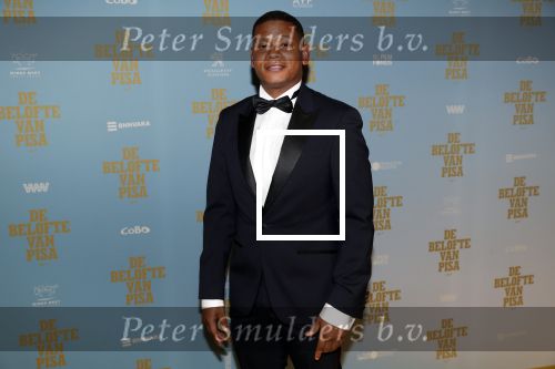 Amsterdam 7 oktober 2019
Premiere de belofte van Pisa in Tuschinski. Sergio Ijssel