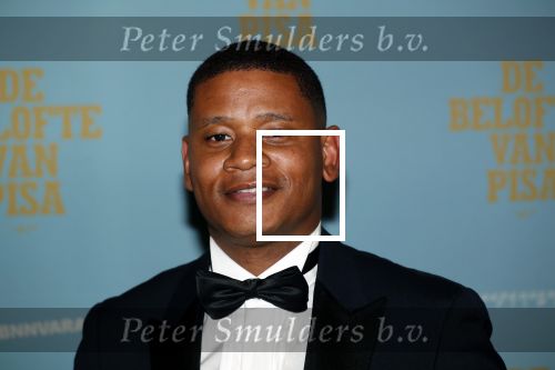 Amsterdam 7 oktober 2019
Premiere de belofte van Pisa in Tuschinski. Sergio Ijssel