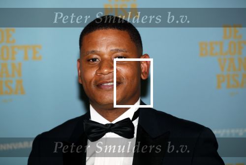 Amsterdam 7 oktober 2019
Premiere de belofte van Pisa in Tuschinski. Sergio Ijssel