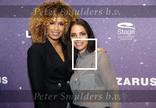 Amsterdam 13 oktober 2019
Premiere Lazarus in het deLamar theater. Sharon Doorson kwam met een vriendin