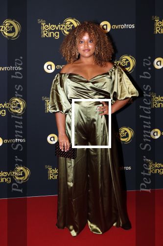 Amsterdam 9 oktober 2019
Uitreiking televizierring 2019 in AFAS Live. 
Stephanie v Eer