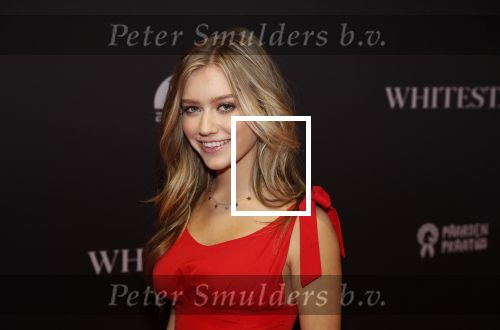 Amsterdam 8 oktober 2019
Premiere Whitestar met Britt Dekker. Sterre Koning