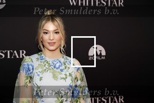 Amsterdam 8 oktober 2019
Premiere Whitestar met Britt Dekker. Sterre van Woudenberg