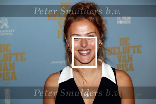 Amsterdam 7 oktober 2019
Premiere de belofte van Pisa in Tuschinski. Susan Radder met haar partner