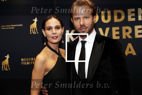Utrecht 4 oktober 2019
Uitreiking gouden kalveren in schouwburg Utrecht. Thijs Romer met partner  Igone de Jongh