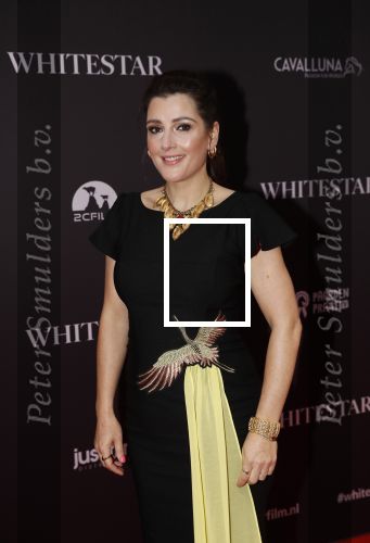 Amsterdam 8 oktober 2019
Premiere Whitestar met Britt Dekker. Tina de Bruin