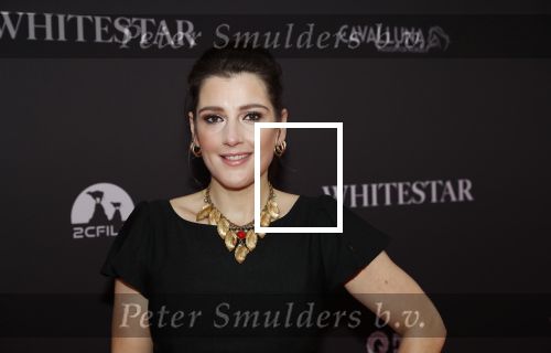 Amsterdam 8 oktober 2019
Premiere Whitestar met Britt Dekker. Tina de Bruin
