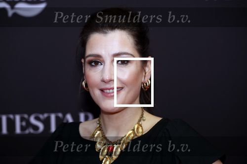 Amsterdam 8 oktober 2019
Premiere Whitestar met Britt Dekker. Tina de Bruin