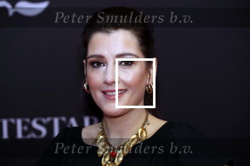 Amsterdam 8 oktober 2019
Premiere Whitestar met Britt Dekker. Tina de Bruin