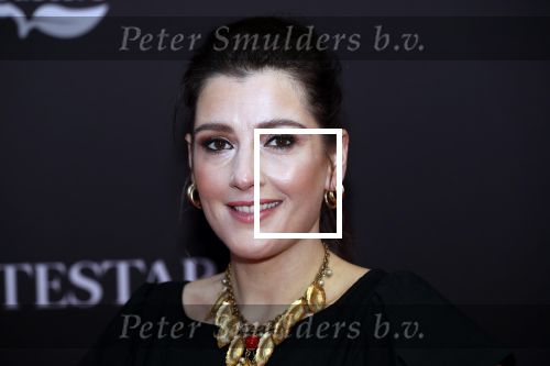 Amsterdam 8 oktober 2019
Premiere Whitestar met Britt Dekker. Tina de Bruin
