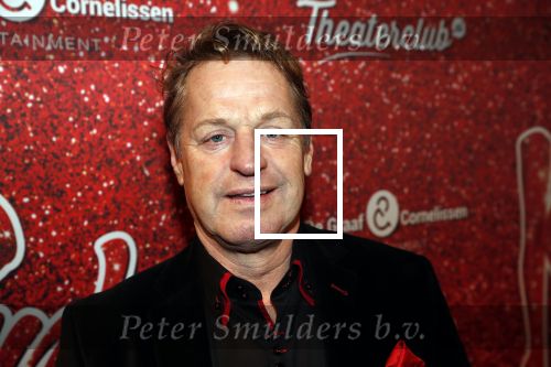 Amsterdam 11 november 2019
Premiere Kinky boots in theater de Meervaart. Tony Neef met partner