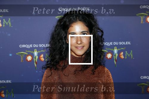 Den Haag 13 september 2019
Premiere Cirque du Soleil op het malieveld in Den Haag. Toprak Yalciner