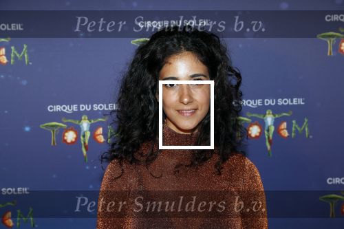 Den Haag 13 september 2019
Premiere Cirque du Soleil op het malieveld in Den Haag. Toprak Yalciner