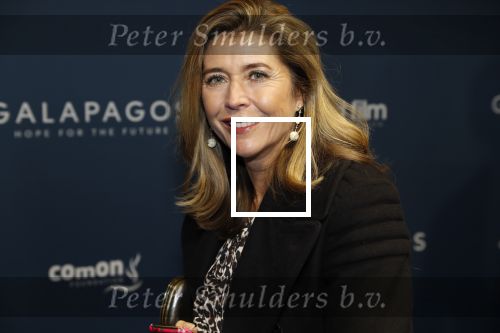 Amsterdam 28 oktober 2019
Premiere Galapagos in Tuschinski. Vanessa Loudon