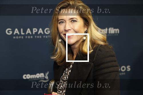 Amsterdam 28 oktober 2019
Premiere Galapagos in Tuschinski. Vanessa Loudon