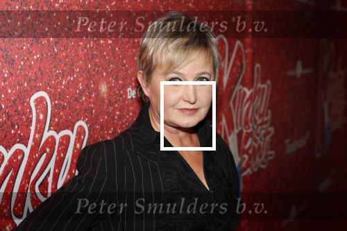 Amsterdam 11 november 2019
Premiere Kinky boots in theater de Meervaart. Vera mann met â€¦