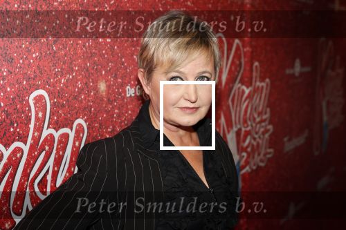 Amsterdam 11 november 2019
Premiere Kinky boots in theater de Meervaart. Vera mann met â€¦