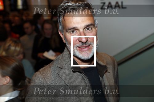 Amsterdam 6 november 2019
Premiere de verleiders in het nieuwe deLamar theater. Viggo Waas kwam met zijn vriendin
