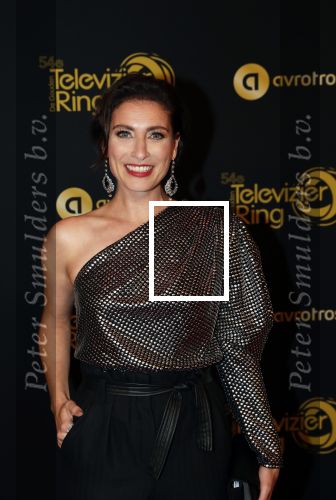 Amsterdam 9 oktober 2019
Uitreiking televizierring 2019 in AFAS Live. Vivienne v d Assem