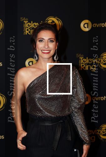 Amsterdam 9 oktober 2019
Uitreiking televizierring 2019 in AFAS Live. Vivienne v d Assem