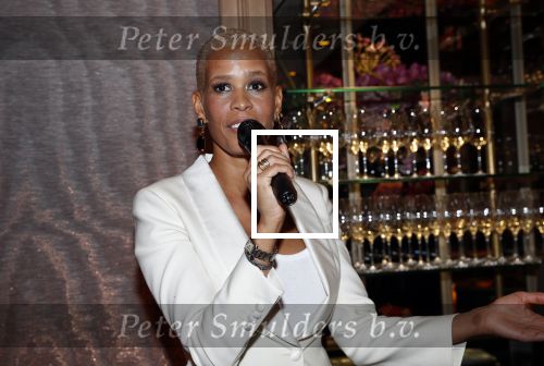 Amsterdam 3 november 2019
Boekpresentatie Yce Sidibeh in hotel 27
