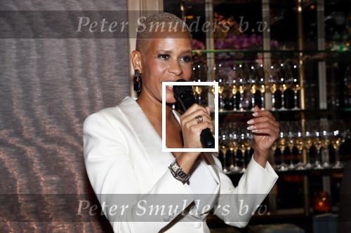Amsterdam 3 november 2019
Boekpresentatie Yce Sidibeh in hotel 27
