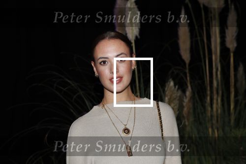 Amsterdam 4 november 2019
Presentatie Linda man met op de cover Sergio Herman Joris Bijdendijk en Jermain de Rozario. Zoey Ivory