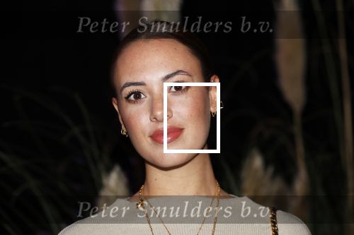 Amsterdam 4 november 2019
Presentatie Linda man met op de cover Sergio Herman Joris Bijdendijk en Jermain de Rozario. Zoey Ivory