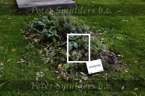 Dronrijp 29 oktober 2020
Het Graf van Aart Staartjes . Zijn huis staat tegen over de kerk.