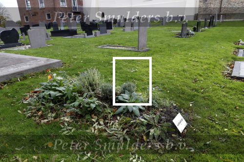 Dronrijp 29 oktober 2020
Het Graf van Aart Staartjes . Zijn huis staat tegen over de kerk.