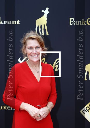 Utrecht 2 oktober 2020
Uitreiking gouden kalveren in de schouwburg van Utrecht.
Anne Winterink