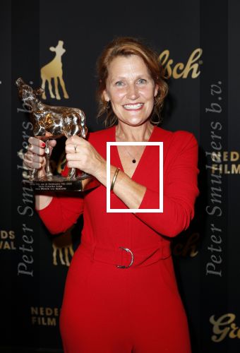 Utrecht 2 oktober 2020
Uitreiking gouden kalveren in de schouwburg van Utrecht.
Anne Winterink
