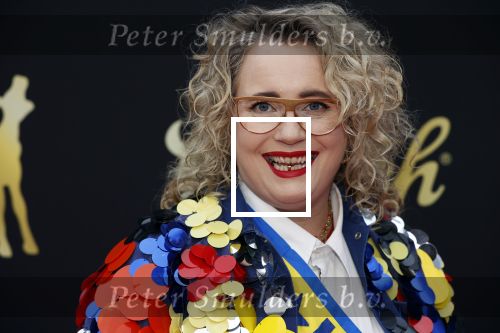Utrecht 2 oktober 2020
Uitreiking gouden kalveren in de schouwburg van Utrecht.
Bho Roosterman