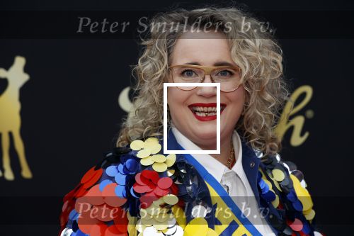 Utrecht 2 oktober 2020
Uitreiking gouden kalveren in de schouwburg van Utrecht.
Bho Roosterman