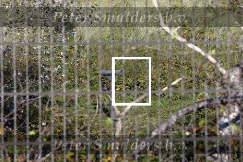 Noordwijk 16 oktober 2020
Het huis van wijlen Freddy Heineken in Noordwijk waar zijn vrouw nog woont.