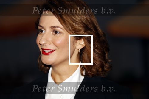 Utrecht 2 oktober 2020
Uitreiking gouden kalveren in de schouwburg van Utrecht.