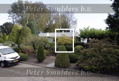 Badhoevdorp 16 oktober 2020
Huis van Jack v Gelder