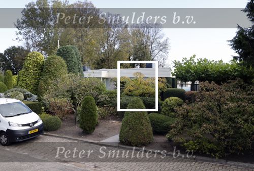 Badhoevdorp 16 oktober 2020
Huis van Jack v Gelder