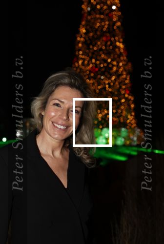 Noordwijk 5 november 2020
Harry Mens steekt de lichten van de kerstboom bij Hotel Huis ter Duin aan dit jaar. Marie Claire Noorlander