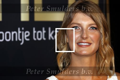 Noordwijk 16 oktober 2020
Boekpresentatie Martien Meiland in hotel Huis ter Duin .
Martien kwam met zijn vrouw Erica dochters Maxime en Montana.