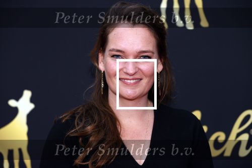 Utrecht 2 oktober 2020
Uitreiking gouden kalveren in de schouwburg van Utrecht. Myrthe Mosterman