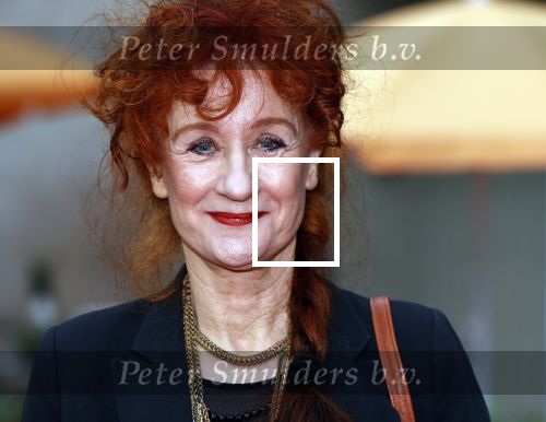Utrecht 2 oktober 2020
Uitreiking gouden kalveren in de schouwburg van Utrecht. Patty Stenger