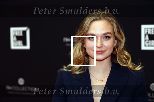 Amsterdam 5 oktober 2020
Bijeenkomst influencers inzake free a girl in hotel Krasnapolsky. Pip Pellens