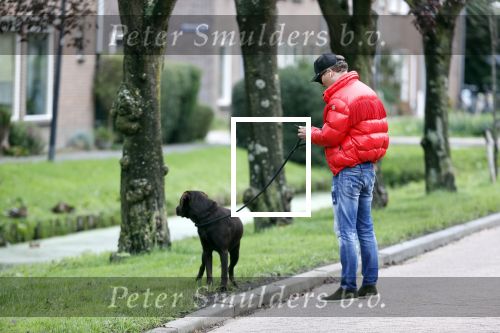 Mijdrecht 9 oktober 2020
Rogier Smit woont tijdelijk bij Rachel hazes met zijn hond.