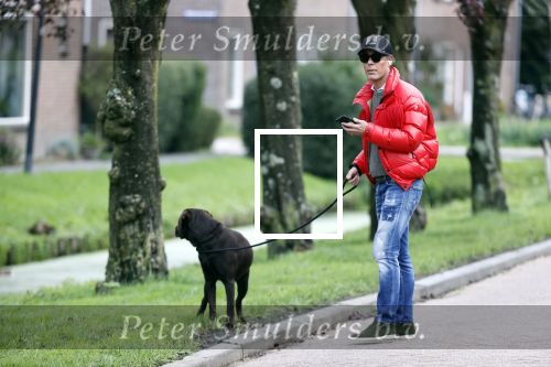 Mijdrecht 9 oktober 2020
Rogier Smit woont tijdelijk bij Rachel hazes met zijn hond.
