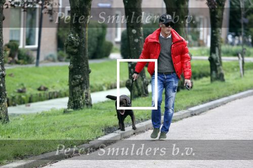 Mijdrecht 9 oktober 2020
Rogier Smit woont tijdelijk bij Rachel hazes met zijn hond.