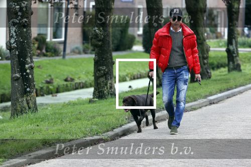 Mijdrecht 9 oktober 2020
Rogier Smit woont tijdelijk bij Rachel hazes met zijn hond.
